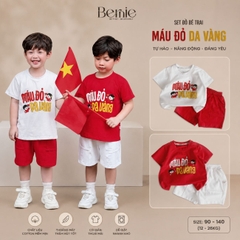 Set bộ cộc tay cho bé trai áo thun họa tiết người Việt nam kèm quần short size 9kg đến 28kg BERNIE H0226B22Đ 