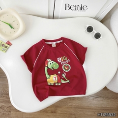 Set bộ khủng long Big Player cho bé trai áo tay ngắn raplang kèm quần short kaki bé trai 9 tới 28kg BERNIE H1125B32