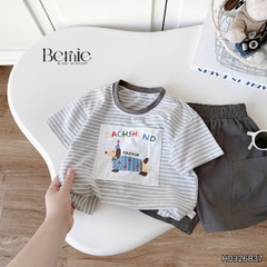 Set bộ bé trai áo thun tay ngắn họa tiết kẻ ngang Sausage Dog kèm quần short kaki cho bé trai size 9 đến 28kg BERNIE H0326B37