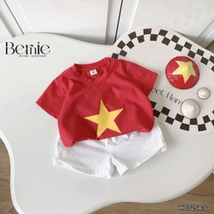 Bộ lá cờ BERNIE BH0725A30