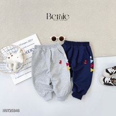 Set bộ Tiny Dino thun da cá dài tay phối màu họa tiết khủng long kèm quần dài size 9 tới 28kg BERNIE H0725B48