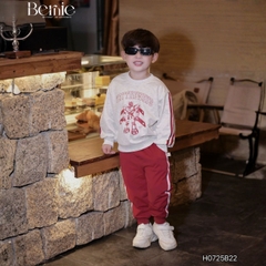 Set bộ thể thao dài tay chất cotton da cá họa tiết hoạt hình kèm quần dài size 9 tới 25kg BERNIE H0725B22 