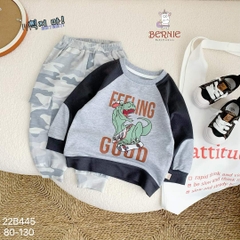 Set bộ thun dài tay bé trai chất nỉ da cá họa tiết khủng long loang màu phong cách 1 đến 7 tuổi BERNIE kids