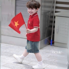 Bộ quần áo Lá cờ đỏ sao vàng Việt Nam áo polo kèm quần jean bé trai bé gái 9-28kg BERNIE BH0725A41