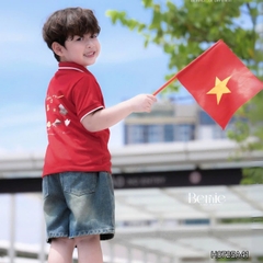 Bộ quần áo Lá cờ đỏ sao vàng Việt Nam áo polo kèm quần jean bé trai bé gái 9-28kg BERNIE BH0725A41