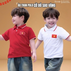 Áo thun polo Lá cờ đỏ sao vàng em bé Việt Nam tay ngắn unisex bé trai bé gái 9-28kg BERNIE H0725A41