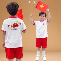 Set bộ cộc tay cho bé trai áo cổ trụ họa tiết sao vàng Việt Nam kèm quần short size từ 9 đến 25kg H0226B23Đ 