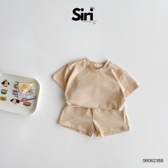 Set BỐN MÙA SIRI SR0623B8
