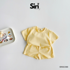 Set BỐN MÙA SIRI SR0623B8