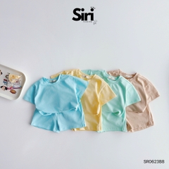 Set BỐN MÙA SIRI SR0623B8