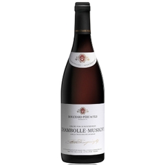 Rượu vang Pháp Bouchard Père & Fils Chambolle-Musigny