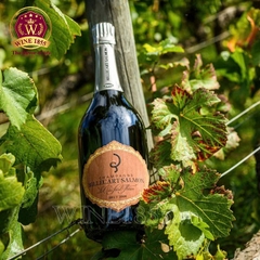 Champagne Billecart-Salmon Le Clos Saint-Hilaire Brut