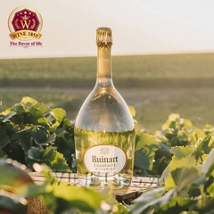 Champagne Ruinart Blanc De Blancs