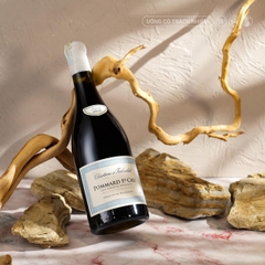 Rượu Vang Pháp Chartron et Trébuchet Pommard 1er Cru Les Grands Epenots 2018