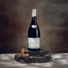 Rượu Vang Pháp Chartron et Trébuchet Pommard 1er Cru Les Grands Epenots 2018
