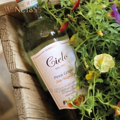 Rượu Vang Ý Cielo Pinot Grigio Rosé