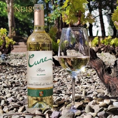Rượu Vang Tây Ban Nha Cune Rioja Blanco