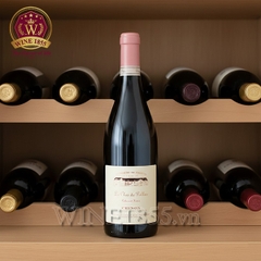 Rượu Vang Pháp Domaine De Pallus Le Clos De Pallus
