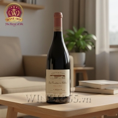 Rượu Vang Pháp Domaine De Pallus Les Pensées De Pallus