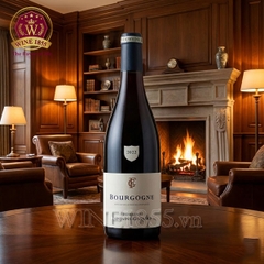 Rượu Vang Pháp Domaine Fontaine-Gagnard Bourgogne