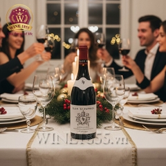 Rượu Vang Pháp Domaine St Patrice Clos St Patrice