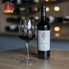 Rượu Vang Ý IL Pumo Negroamaro