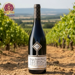 Rượu Vang Pháp Maurice Gavignet Morey-Saint-Denis 1er Cru Les Millandes