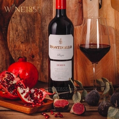 Rượu Vang Tây Ban Nha Montecillo Crianza