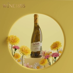 La Fiole Côtes Du Rhône Blanc Père Anselme
