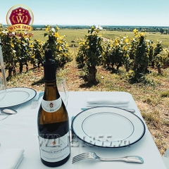 Rượu vang Pháp Bouchard Père & Fils Chevalier-Montrachet 2019
