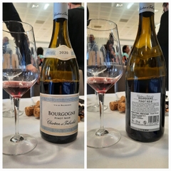 Rượu Vang Pháp Chartron et Trébuchet Bourgogne Pinot Noir 2021