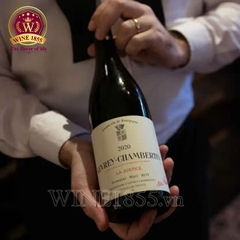 Rượu vang Pháp Domaine Marc Roy Gevrey-Chambertin La Justice
