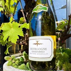 Rượu vang Pháp La Chablisienne Bourgogne Chardonnay