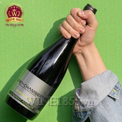 Rượu Vang Pháp Laurent Ponsot Gevrey-Chambertin Cuvée De l’Aulne