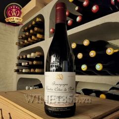 Rượu Vang Pháp Maxime Cheurlin Noellat Bourgogne Hautes Côtes De Nuits