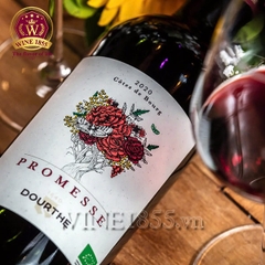 Rượu vang Pháp Promesse De Dourthe