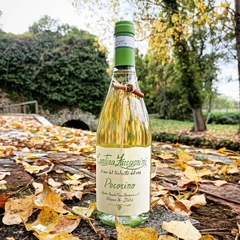 Rượu Vang Ý Cantina Zaccagnini Pecorino