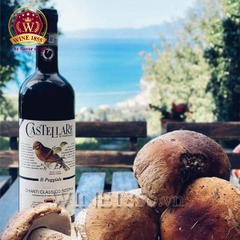 Rượu Vang Ý Castellare Di Castellina Chianti Classico Riserva Il Poggiale