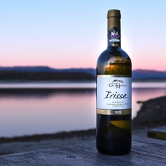 Rượu Vang Ý ColleMassari Irisse Montecucco Vermentino