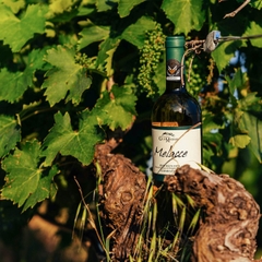 Rượu Vang Ý Collemassari Melacce Montecucco Vermentino