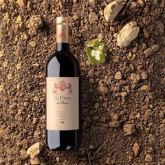 Rượu Vang Ý IL Pino Di Biserno