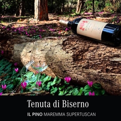 Rượu Vang Ý IL Pino Di Biserno