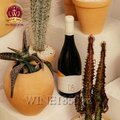 Rượu Vang Ý Talò Chardonnay