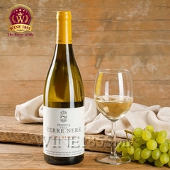 Rượu vang Ý Terre Nere Etna Bianco