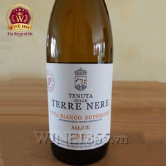 Rượu vang Ý Terre Nere Etna Bianco Salice
