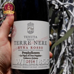 Rượu vang Ý Terre Nere Etna Rosso Calderara Sottana Prephylloxera “La Vigna di Don Peppino”