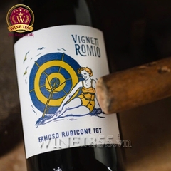 Rượu Vang Ý Vigneti Romio Pinot Grigio Rubicone