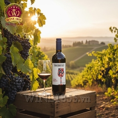 Rượu vang Ý Tavernello Vino Rosso d'Italia