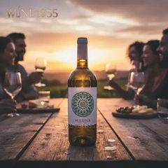 Miluna Vino Bianco D'Italia