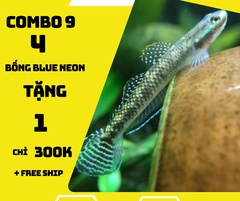 Combo 9 - 4 Bống Blue Neon